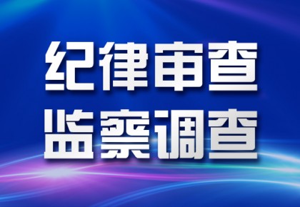 审查调查 审查调查